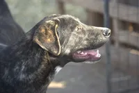 processed/62ef5f7d-774d-459e-8c5f-d063c1a1778f/listing/35b6b291-494b-4299-88cc-ab3b2841c7df/ace293bc-467f-4222-a4dc-465232047b7a