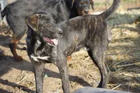 processed/62ef5f7d-774d-459e-8c5f-d063c1a1778f/listing/35b6b291-494b-4299-88cc-ab3b2841c7df/b78db3b2-397e-4e1f-9f8b-11f467772e12