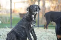 processed/62ef5f7d-774d-459e-8c5f-d063c1a1778f/listing/35b6b291-494b-4299-88cc-ab3b2841c7df/dae93f29-eb16-4f59-bdad-5e92edc25f23