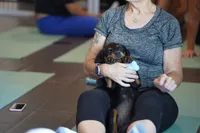 Meleys, a female Rottweiler for sale in Maricopa, AZ – 10 of 10