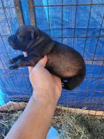 processed/62ef5f7d-774d-459e-8c5f-d063c1a1778f/listing/42040a42-498d-4531-b8a7-c057bb5115f2/3814325f-c4ad-459f-8677-5f9b6a2d0162