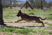 processed/62ef5f7d-774d-459e-8c5f-d063c1a1778f/listing/42040a42-498d-4531-b8a7-c057bb5115f2/50f6c358-b645-4d4a-8cb5-1ef20f00c482