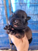 processed/62ef5f7d-774d-459e-8c5f-d063c1a1778f/listing/42040a42-498d-4531-b8a7-c057bb5115f2/9cc3d27c-9203-42b1-b713-8d7798fb96da