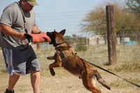 processed/62ef5f7d-774d-459e-8c5f-d063c1a1778f/listing/42040a42-498d-4531-b8a7-c057bb5115f2/dca50483-f2c4-41f6-a515-cce01c954bba