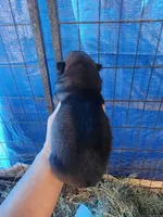 processed/62ef5f7d-774d-459e-8c5f-d063c1a1778f/listing/42040a42-498d-4531-b8a7-c057bb5115f2/ee5c199c-3314-4460-9287-60a66b38d4a3