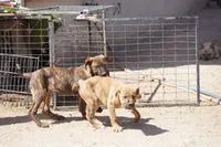 processed/62ef5f7d-774d-459e-8c5f-d063c1a1778f/listing/4bd47c21-14d6-46ac-bc34-31d0a8846c1b/0540f58e-cfa5-4c74-ba91-132d6cd427e6