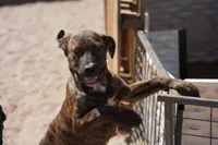 processed/62ef5f7d-774d-459e-8c5f-d063c1a1778f/listing/4bd47c21-14d6-46ac-bc34-31d0a8846c1b/160a7a54-a6b8-48c1-a5a8-796b1419892b