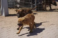 processed/62ef5f7d-774d-459e-8c5f-d063c1a1778f/listing/4bd47c21-14d6-46ac-bc34-31d0a8846c1b/324bacc4-1ec9-49c7-99c7-cc3bc37f2098