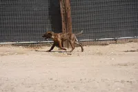 processed/62ef5f7d-774d-459e-8c5f-d063c1a1778f/listing/4bd47c21-14d6-46ac-bc34-31d0a8846c1b/35cec0b2-9ce9-4a9b-b5e6-1ed2cd2145a1