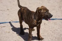 processed/62ef5f7d-774d-459e-8c5f-d063c1a1778f/listing/4bd47c21-14d6-46ac-bc34-31d0a8846c1b/44ad8756-6a88-423f-8fa5-b479f6e01d2f