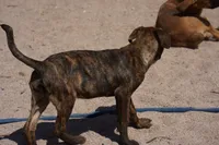 processed/62ef5f7d-774d-459e-8c5f-d063c1a1778f/listing/4bd47c21-14d6-46ac-bc34-31d0a8846c1b/77761ed8-929b-4c4a-93de-e30c72460243