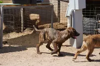 processed/62ef5f7d-774d-459e-8c5f-d063c1a1778f/listing/4bd47c21-14d6-46ac-bc34-31d0a8846c1b/7f963a03-90f9-49c7-9840-a8370a929322