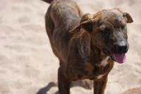 processed/62ef5f7d-774d-459e-8c5f-d063c1a1778f/listing/4bd47c21-14d6-46ac-bc34-31d0a8846c1b/ad5d4f24-8371-4ee2-90cf-957b4fc457e0