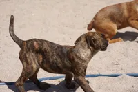 processed/62ef5f7d-774d-459e-8c5f-d063c1a1778f/listing/4bd47c21-14d6-46ac-bc34-31d0a8846c1b/bd60d8dd-af77-4d4e-b123-7e135604c315