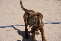 processed/62ef5f7d-774d-459e-8c5f-d063c1a1778f/listing/4bd47c21-14d6-46ac-bc34-31d0a8846c1b/c0a4d984-7b99-4d42-a06c-0e8462fd32b3