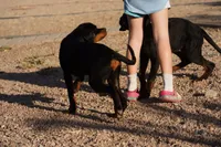 processed/62ef5f7d-774d-459e-8c5f-d063c1a1778f/listing/58db17d0-ae99-4be4-b34f-e84f2ae34c51/513474c4-9ff5-4961-b31e-4352a100db80