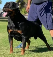 processed/62ef5f7d-774d-459e-8c5f-d063c1a1778f/listing/58db17d0-ae99-4be4-b34f-e84f2ae34c51/71f85c6f-d29f-48ad-9285-0c5de7ca9c29