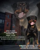 processed/62ef5f7d-774d-459e-8c5f-d063c1a1778f/listing/58db17d0-ae99-4be4-b34f-e84f2ae34c51/fba65b81-607a-45e4-aa3a-c3d07e8852f5