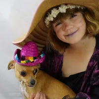 Choco, a male Chihuahua for sale in Maricopa, AZ – Photo 10 of 10