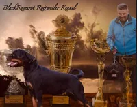 processed/62ef5f7d-774d-459e-8c5f-d063c1a1778f/listing/658287e5-7cda-4b87-ba70-a5adcae82ba8/1bb8df5e-3209-4aa8-833c-c532fa0e94ce