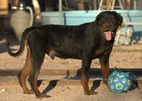 processed/62ef5f7d-774d-459e-8c5f-d063c1a1778f/listing/658287e5-7cda-4b87-ba70-a5adcae82ba8/1dd8871d-1f45-490f-8900-7c32944f79d4