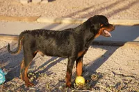 processed/62ef5f7d-774d-459e-8c5f-d063c1a1778f/listing/658287e5-7cda-4b87-ba70-a5adcae82ba8/44ef3ff4-30d2-4234-acbf-4153dd3df002