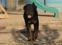 processed/62ef5f7d-774d-459e-8c5f-d063c1a1778f/listing/658287e5-7cda-4b87-ba70-a5adcae82ba8/5359dabc-f324-470f-987e-43de82106007