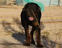 processed/62ef5f7d-774d-459e-8c5f-d063c1a1778f/listing/658287e5-7cda-4b87-ba70-a5adcae82ba8/7a3d4c4f-7c3f-4d51-a854-742c46ea2012