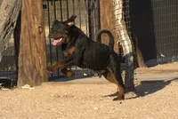 processed/62ef5f7d-774d-459e-8c5f-d063c1a1778f/listing/658287e5-7cda-4b87-ba70-a5adcae82ba8/a7480283-da32-48b2-8fef-8081e299bd9c