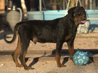 processed/62ef5f7d-774d-459e-8c5f-d063c1a1778f/listing/658287e5-7cda-4b87-ba70-a5adcae82ba8/cfa46661-bf1b-439b-aa1d-6d40b81c77d1