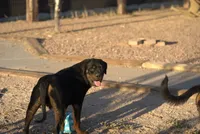 processed/62ef5f7d-774d-459e-8c5f-d063c1a1778f/listing/658287e5-7cda-4b87-ba70-a5adcae82ba8/e2e320aa-9b8f-4681-bc72-e5fbc5e6a238