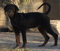 processed/62ef5f7d-774d-459e-8c5f-d063c1a1778f/listing/6e1c1efc-141e-484b-b935-12369772e77e/199d3f44-2b03-4a94-bc7e-10dff6b79675