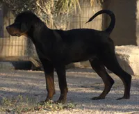 processed/62ef5f7d-774d-459e-8c5f-d063c1a1778f/listing/6e1c1efc-141e-484b-b935-12369772e77e/62cc0f40-b9d9-444b-8f5f-290488ab6fad