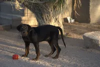 processed/62ef5f7d-774d-459e-8c5f-d063c1a1778f/listing/6e1c1efc-141e-484b-b935-12369772e77e/c048c7e7-1e53-401a-956e-5249e0aeae45