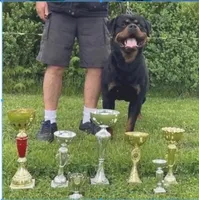 processed/62ef5f7d-774d-459e-8c5f-d063c1a1778f/listing/6e1c1efc-141e-484b-b935-12369772e77e/f41f7e74-74ba-47d8-bb26-908db8f0736c