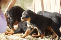 processed/62ef5f7d-774d-459e-8c5f-d063c1a1778f/listing/7185f60b-c8e7-4edc-a272-dec0a7f08f3c/d68f28b9-781f-4d6c-a636-5452410baf22