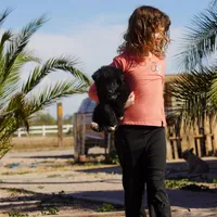 Toes M Black, a male Akita and McNab Shepherd for sale in Maricopa, AZ – Photo 5 of 10