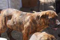 processed/62ef5f7d-774d-459e-8c5f-d063c1a1778f/listing/794476b7-25a2-4f9e-92a6-c26411eb5239/3eb8eb54-3d5e-4af2-9ef4-ef8cfc0b0dbb