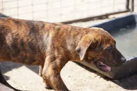 processed/62ef5f7d-774d-459e-8c5f-d063c1a1778f/listing/794476b7-25a2-4f9e-92a6-c26411eb5239/52545ac2-adf9-405d-b588-23da263d0bd8