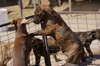 processed/62ef5f7d-774d-459e-8c5f-d063c1a1778f/listing/794476b7-25a2-4f9e-92a6-c26411eb5239/63184ae9-08f8-4398-806b-a38e5fd836ad