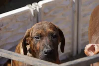 processed/62ef5f7d-774d-459e-8c5f-d063c1a1778f/listing/794476b7-25a2-4f9e-92a6-c26411eb5239/6c79dc63-53ed-4074-9b4d-0a40004e4c27