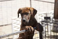 processed/62ef5f7d-774d-459e-8c5f-d063c1a1778f/listing/794476b7-25a2-4f9e-92a6-c26411eb5239/770d2d4e-059d-497e-9f2e-1e07d33fee21