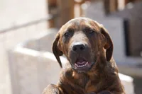 processed/62ef5f7d-774d-459e-8c5f-d063c1a1778f/listing/794476b7-25a2-4f9e-92a6-c26411eb5239/775c8531-37ea-4467-8960-73a85e4f93e8