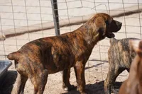 processed/62ef5f7d-774d-459e-8c5f-d063c1a1778f/listing/794476b7-25a2-4f9e-92a6-c26411eb5239/8271135c-1ec9-4e7d-af3a-6d57dd282a11