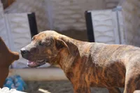 processed/62ef5f7d-774d-459e-8c5f-d063c1a1778f/listing/794476b7-25a2-4f9e-92a6-c26411eb5239/d061b387-d71d-4a82-bbbc-b28358e124d0