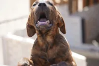 processed/62ef5f7d-774d-459e-8c5f-d063c1a1778f/listing/794476b7-25a2-4f9e-92a6-c26411eb5239/ea9b46f9-2847-4c73-81d7-dfecd54d8c34