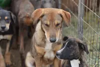 processed/62ef5f7d-774d-459e-8c5f-d063c1a1778f/listing/829d9a1a-4d54-4910-a863-42b564ddbd58/546dfccc-2386-4616-8fb2-b63550a50830