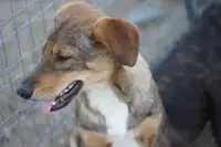 processed/62ef5f7d-774d-459e-8c5f-d063c1a1778f/listing/829d9a1a-4d54-4910-a863-42b564ddbd58/b3b7ea5e-6b18-4ecb-9042-d4345d8bd8dc