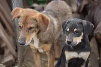 processed/62ef5f7d-774d-459e-8c5f-d063c1a1778f/listing/829d9a1a-4d54-4910-a863-42b564ddbd58/ca9f28af-7605-409e-bd62-7e039be58aad