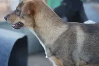 processed/62ef5f7d-774d-459e-8c5f-d063c1a1778f/listing/829d9a1a-4d54-4910-a863-42b564ddbd58/e520965d-b757-4f7c-af38-c2460e8c510f